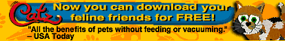 CATZ!111 (VERY AWOSEME!111