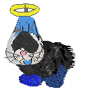 lancer dance